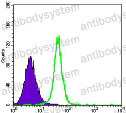 Anti-HK2 Antibody (R3M94)