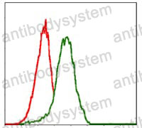 Anti-PDX1 Antibody (R3M96)