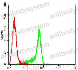 Anti-NUP98 Antibody (R3M98)