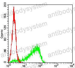 Anti-NUP98 Antibody (R3M99)