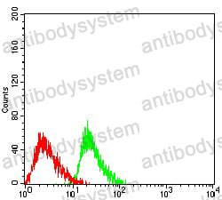 Anti-ATXN1 Antibody (R3N09)