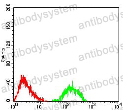 Anti-ATXN1 Antibody (R3N10)