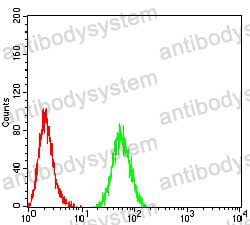Anti-PMS2 Antibody (R3N11)