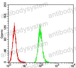 Anti-PMS2 Antibody (R3N12)