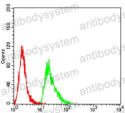 Anti-PMS2 Antibody (R3N14)