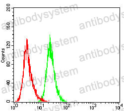 Anti-PMS2 Antibody (R3N15)