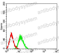 Anti-PRKAA2 Antibody (R3N18)