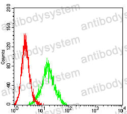 Anti-CD298/ATP1B3 Antibody (R3N23)