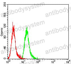 Anti-CASP6 Antibody (R3N38)