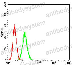 Anti-ADAR/IFI4 Antibody (R3N40)