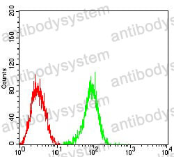 Anti-FCGRT/FCRN Antibody (R3N48)
