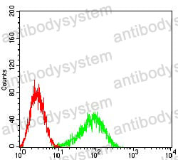 Anti-FCGRT/FCRN Antibody (R3N47)