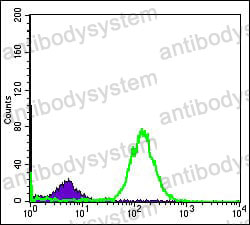 Anti-BID Antibody (R3N50)