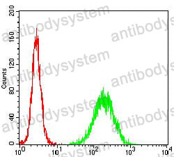 Anti-TCL1A Antibody (R3N53)