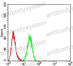 Anti-HDAC4 Antibody (R3N55)