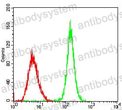 Anti-PER3 Antibody (R3N57)