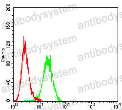 Anti-CLDN6/Claudin-6 Antibody (R3N61)