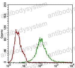 Anti-BACE1 Antibody (R3N62)