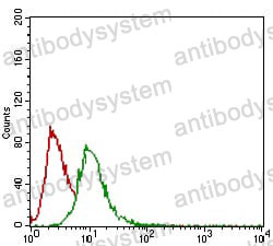 Anti-GSC Antibody (R3N63)