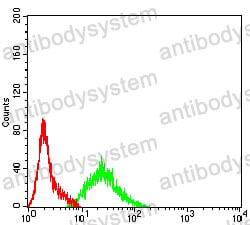 Anti-RIPK4 Antibody (R3N66)