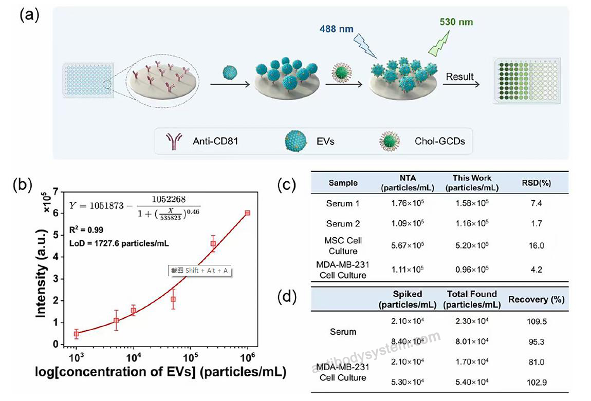 Bioactivity for Anti-Human CD81 Antibody (005-C01) ?>