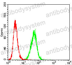Anti-CD81 Antibody (R3N75)