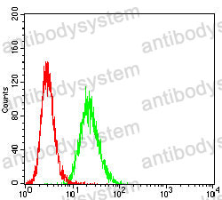 Anti-CD81 Antibody (R3N76)