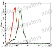 Anti-SST Antibody (R3N89)