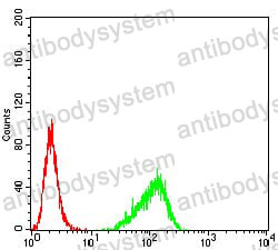 Anti-RND3 Antibody (R3N95)