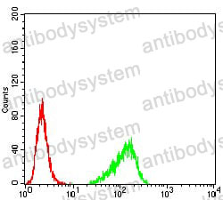 Anti-RND3 Antibody (R3N94)
