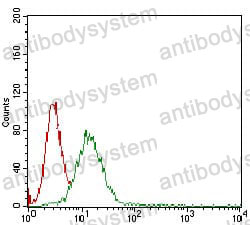 Anti-B2M/Beta-2-microglobulin Antibody (R3N96)