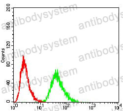 Anti-ETF1 Antibody (R3P07)