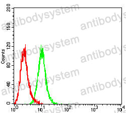 Anti-SMA/ACTA2 Antibody (R3P13)