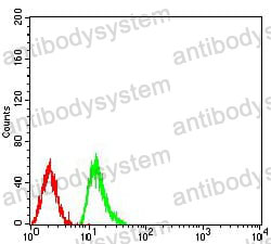 Anti-HIST2H4A (20Me) Antibody (R3P17)