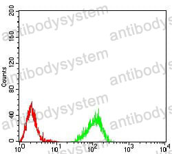 Anti-HIST2H4A (20Me3) Antibody (R3P19)