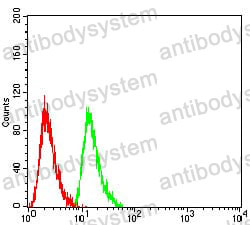 Anti-RAN Antibody (R3P22)