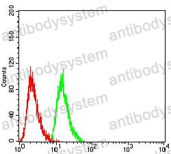 Anti-RAN Antibody (R3P21)