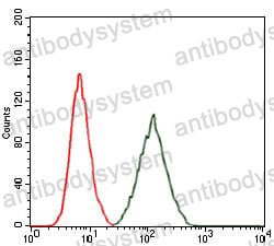 Anti-RAP1A Antibody (R3P23)