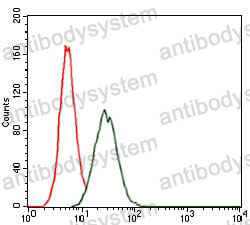 Anti-RAP1A Antibody (R3P24)
