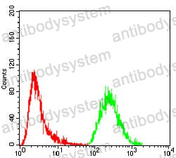 Anti-GNAS Antibody (R3P28)