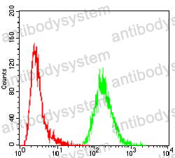 Anti-GNAS Antibody (R3P27)