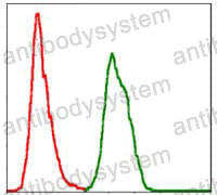 Anti-SKP1 Antibody (R3P30)