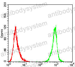 Anti-TUBA4A Antibody (R3P44)