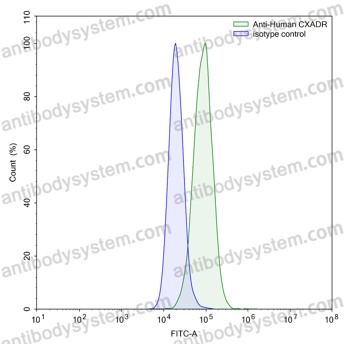 Anti-Human CXADR Antibody (SAA0357)