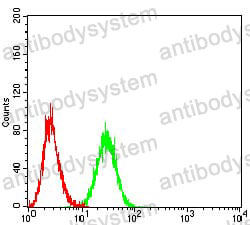 Anti-CD172a/SIRPA Antibody (R3P62)