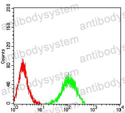Anti-CD156a/ADAM8 Antibody (R3P63)