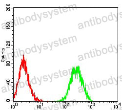 Anti-CD156a/ADAM8 Antibody (R3P64)