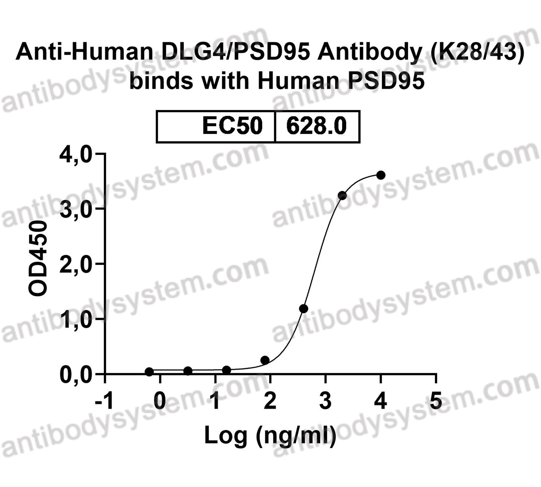 Anti-Human DLG4/PSD95 Antibody (K28/43)