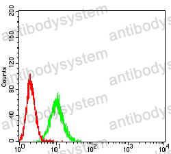 Anti-CD339/JAG1 Antibody (R3P76)