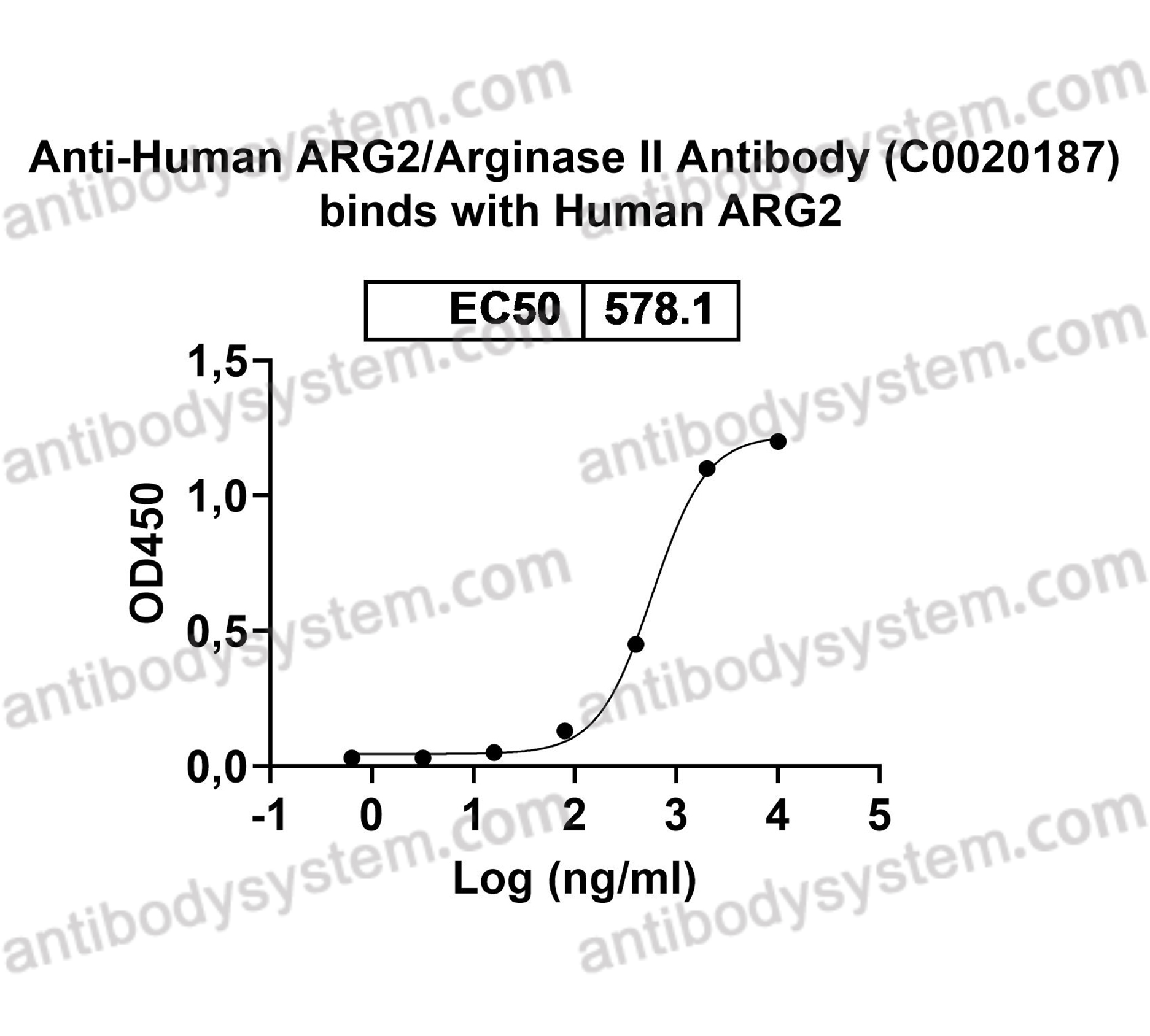 Anti-Human ARG2/Arginase II Antibody (C0020187)